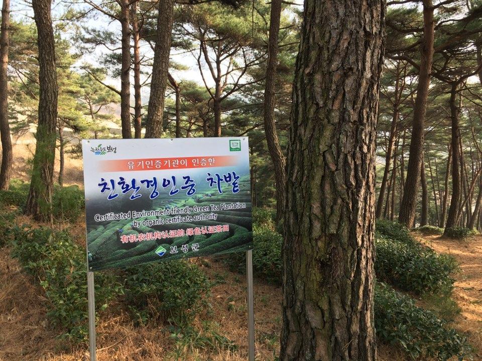 فندق Korean Traditional House - Chungnokdang Boseong المظهر الخارجي الصورة