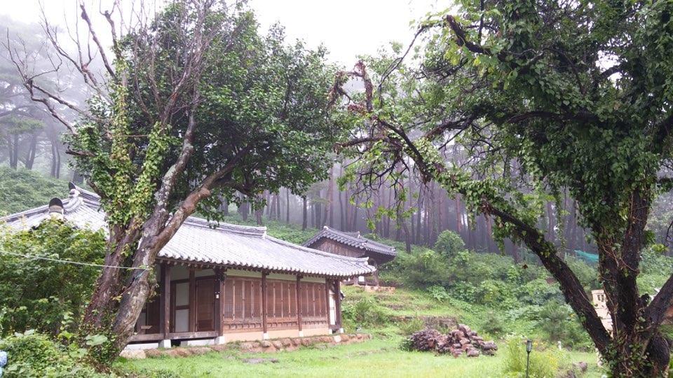فندق Korean Traditional House - Chungnokdang Boseong المظهر الخارجي الصورة